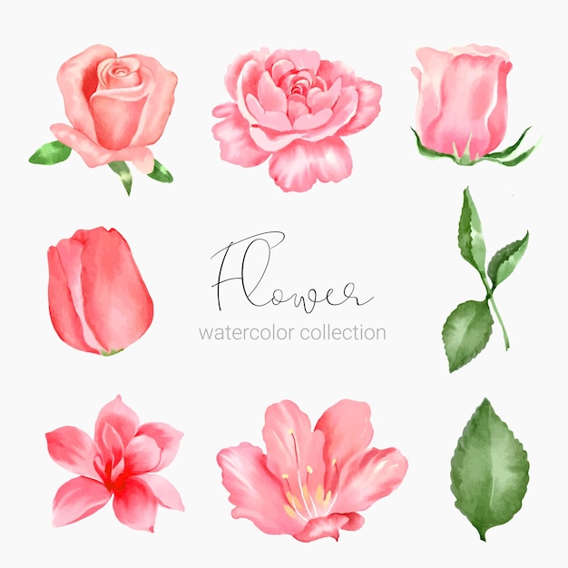 Schöner Blumenstrauß und Blätter im Aquarellstil