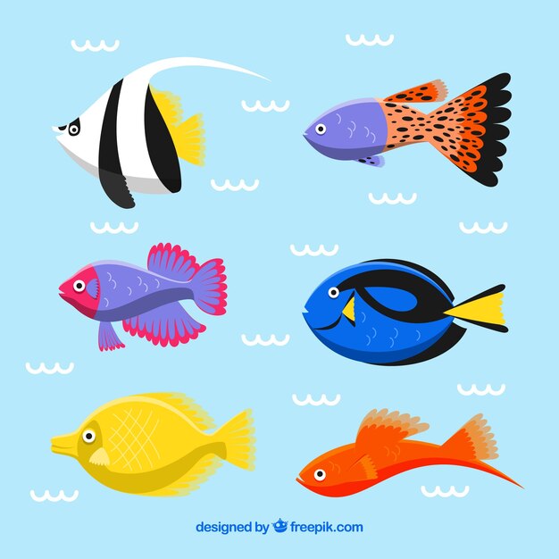 Set bunte Fische in der flachen Art