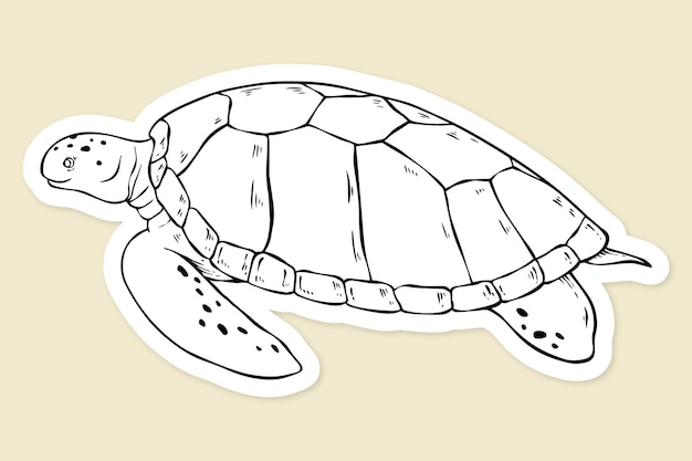 Kostenloser Vektor vektor-schildkröte-vintage-schwarz-weiß-clipart