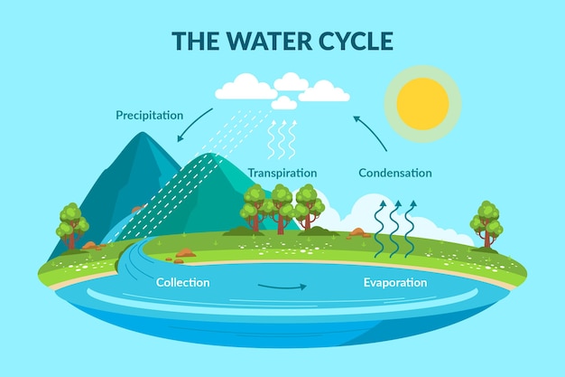 Kostenloser Vektor wasserkreislauf im flachen stil