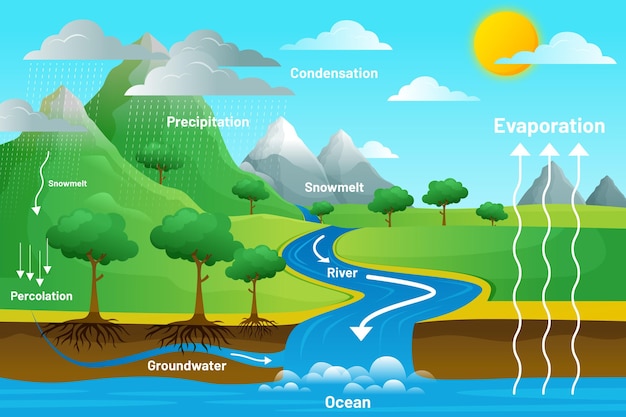 Kostenloser Vektor wasserkreislauf mit schritten illustriert