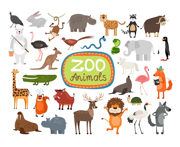 Zoo Tiere Illustration Set