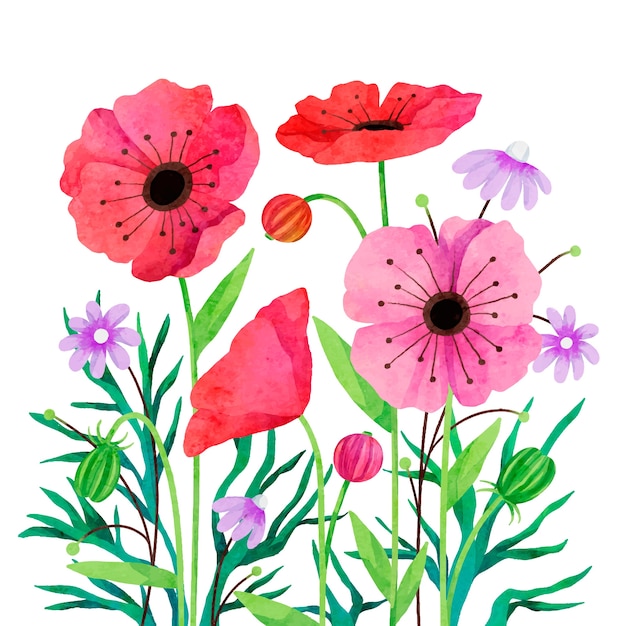 Aquarell-Bild von Mohnblumen