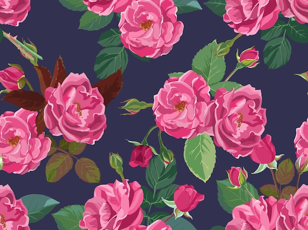 Blühende rosa Rosen, Frühlings- und Sommerblühendes Laub und Blumen. Romantischer Hintergrund oder Druck, feminine Verpackung mit botanischen Ornamenten und Dekoration. Vektor in der flachen Artillustration