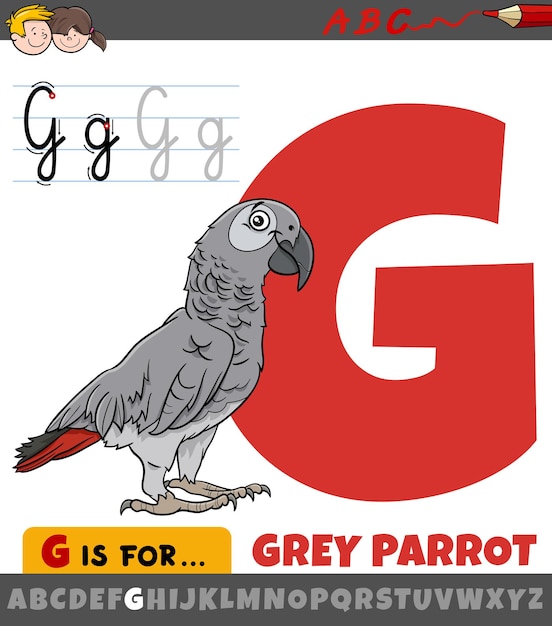 Buchstabe G aus dem Alphabet mit grauem Papageienvogel-Tiercharakter der Karikatur