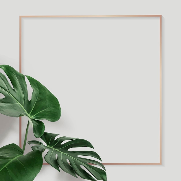 Designressource für goldene Monstera mit quadratischem Rahmen