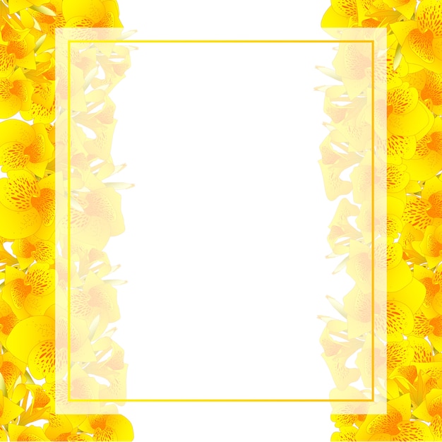 Vektor gelbe canna lilie banner card border