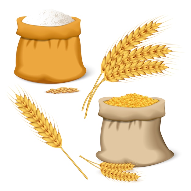 Gerstenweizen-Icon-Set