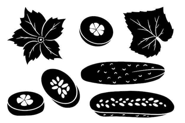 Gurken-Set. Frische Gurken, Keile, eine halbe Gurke, Blume und Blatt. Silhouette. Vektorillustration für Design und Dekoration.