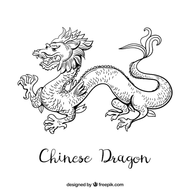 Vektor hand gezeichneter drache des traditionellen chinesen