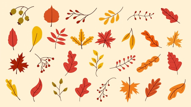 Vektor herbstlaub-set, vektor-illustration, herbstlaub oder herbstlaub