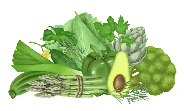 Vektor illustration von grünem gemüse und früchten (avocado, pfeffer, gurke, artischocke, brokkoli, kohl, spargel), hand gezeichnet