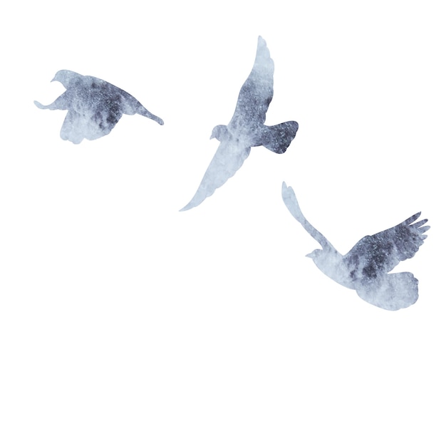 Isolierte graue Aquarellsilhouette von Vogelschwärmen