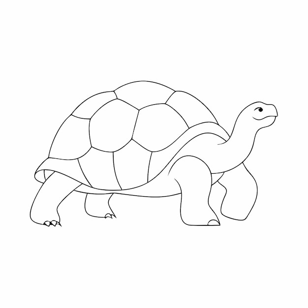 Vektor kontinuierliche ein-linien-kunst schildkröten-vektorkunst illustration 8