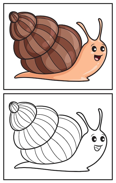 Malbuch süße Schnecke Malseite und bunte Clipart-Charakter Vektor-Cartoon-Illustration