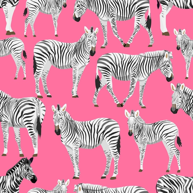 Vektor nahtloses muster mit zebras auf rosa hintergrund tiere afrikas