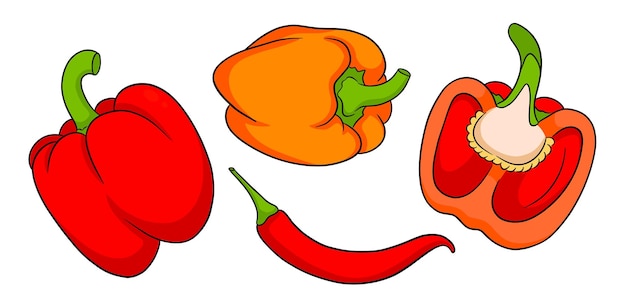 Pfeffer-Set Frische Paprika und Peperoni im Cartoon-Stil Vektor-Illustration für Design und Dekoration