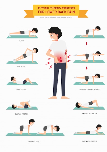 Vektor physiotherapieübungen für rückenschmerzen infografik, illustration.