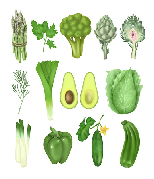 Vektor sammlung von handgezeichnetem grünem gemüse (bund spargel, artischocke, gurke, avocado, brokkoli, paprika und andere), isolierte illustration