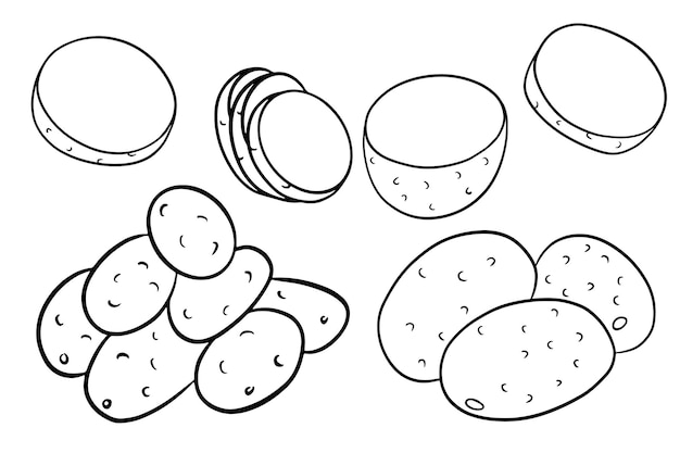 Satz Kartoffeln Ganze Kartoffeln halb in Keile geschnitten In Linienstil Vektorillustration für Design und Dekoration