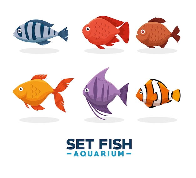 Set Fisch Aquarium Symbol