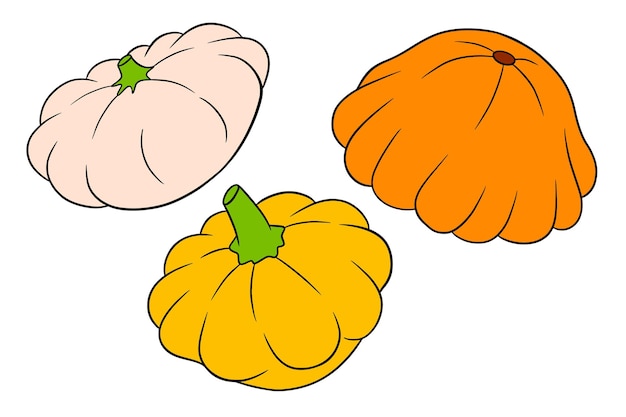 Squash-Set Frischer Kürbis, gelb, orange und beige In einer Cartoon-Stil-Vektor-Illustration für Design und Dekoration