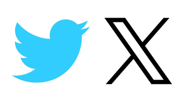 Vektor twitter, globaler social-media-netzwerkdienst. neues logo von twitter