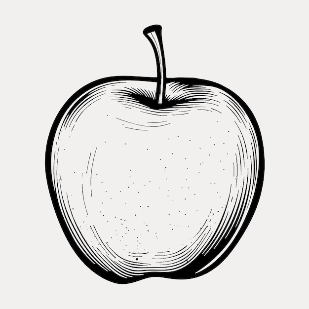 Vektor vintage-apfel-illustration für das design