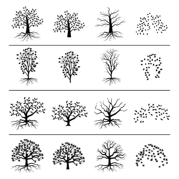 Árvores com raízes, folhagens e folhas caídas, isoladas no fundo branco. Silhueta de árvore e ilustração monocromática de folhas