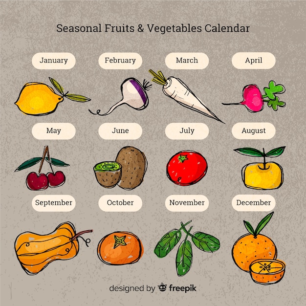 Vetor grátis calendário de mão desenhada de frutas e legumes sazonais