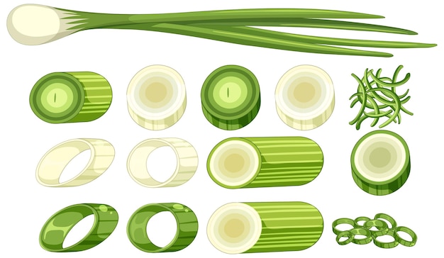 Vetor grátis cebolinha em diferentes formas
