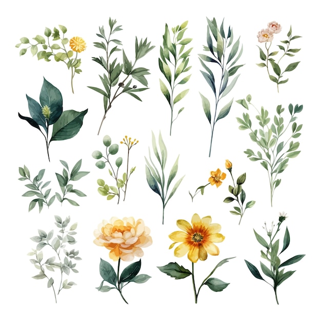 Clipart de ilustração de folhas florais em aquarela desenhadas à mão