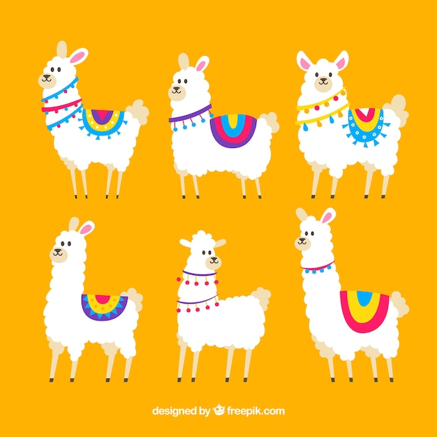 Vetor grátis coleção de alpacas bonito