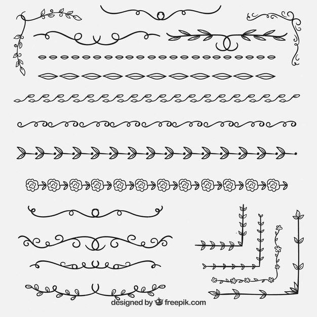 Coleção de borda floral ornamental