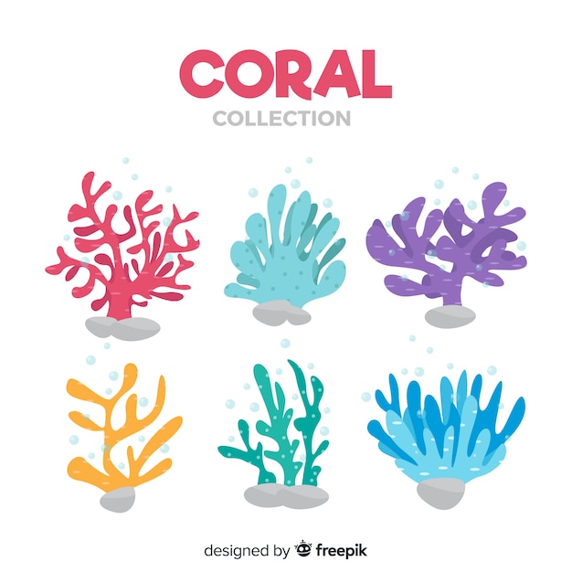 Vetor grátis coleção de coral liso