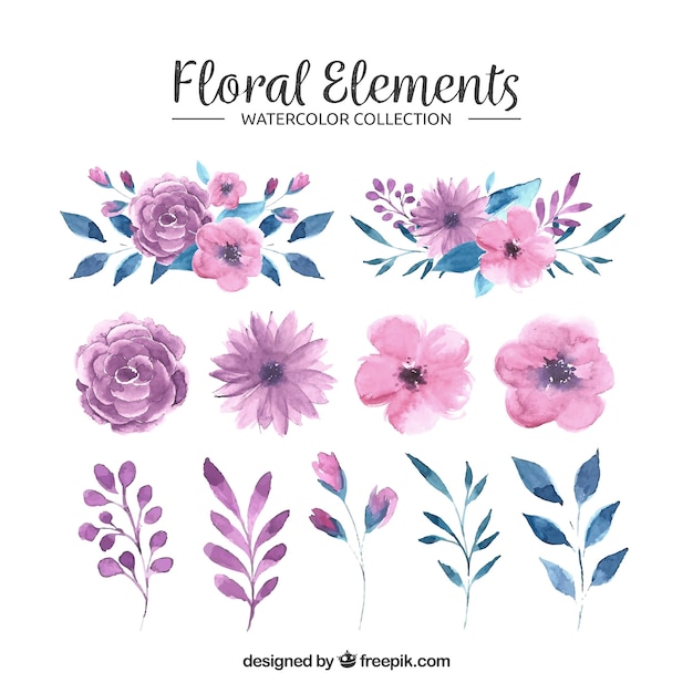 Coleção de elementos florais em estilo aquarela