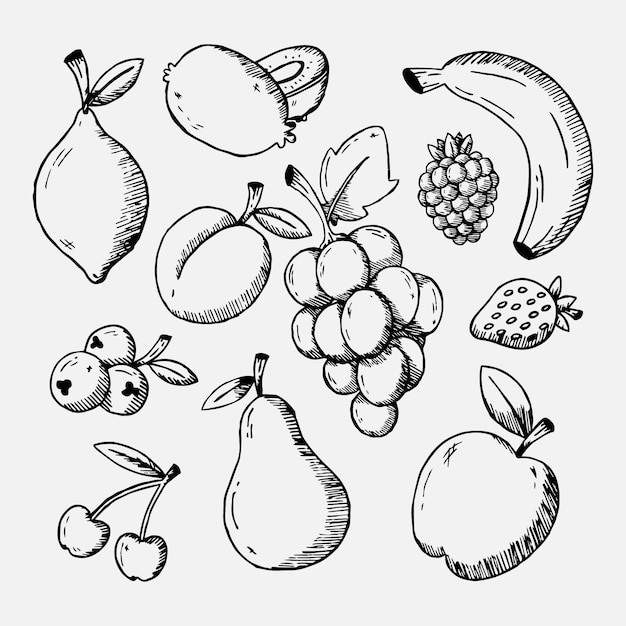 Coleção de frutas desenhadas à mão gravada