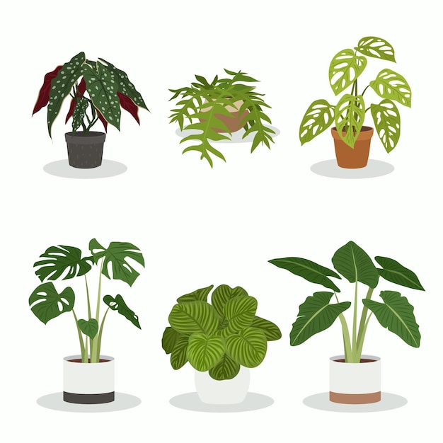 Vetor grátis coleção de plantas de casa planas orgânicas