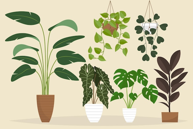 Vetor grátis coleção de plantas de casa planas orgânicas