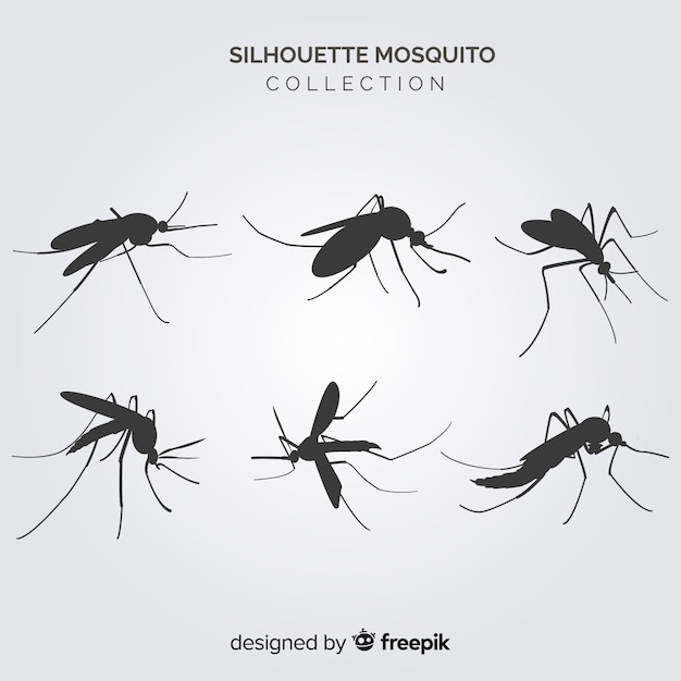 Coleção de silhueta mosquito criativo