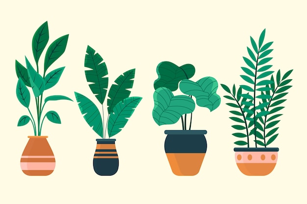 Coleção plana de plantas de casa