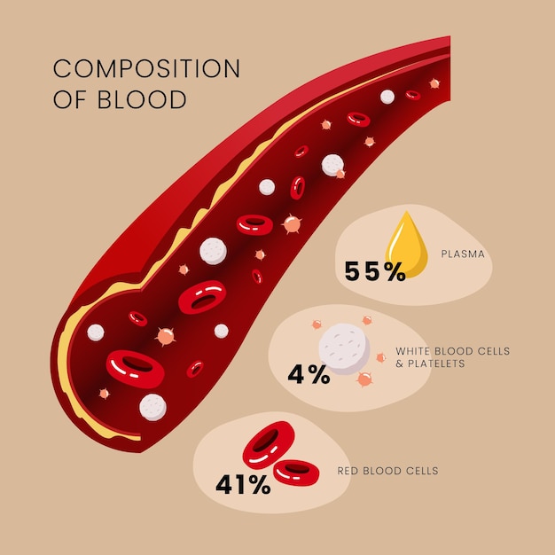 Vetor grátis conceito de infográfico de sangue em design plano