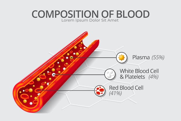 Vetor grátis conceito de infográfico de sangue em design plano