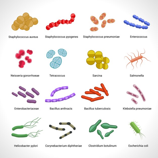 Conjunto de ícones de bactérias