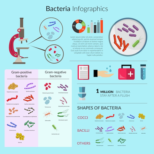 Conjunto de modelo de bactérias infográfico