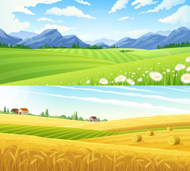 Vetor grátis conjunto de paisagem rural de verão de cena de fazenda de dois banners horizontais com cenário panorâmico de ilustração vetorial de terras de trigo