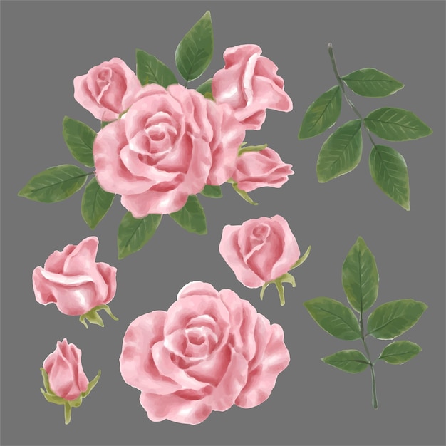 Vetor grátis conjunto de partes separadas e reunir um lindo buquê de flores em estilo de cores de água em fundo branco ilustração vetorial plana