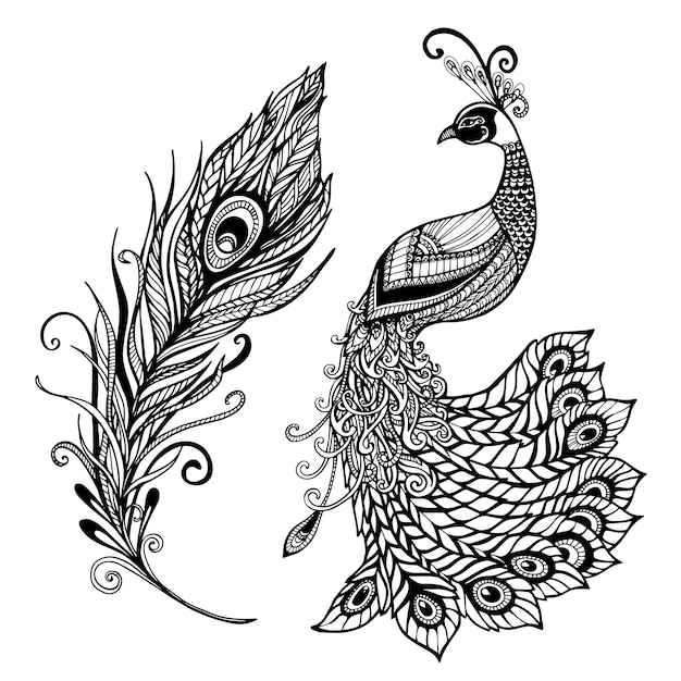 Design de penas de pavão preto doodle print