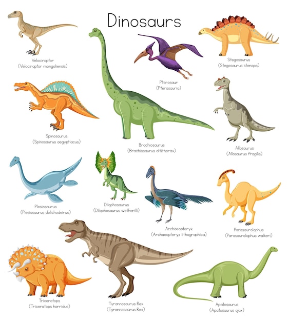 Diferentes tipos de dinossauros com nomes