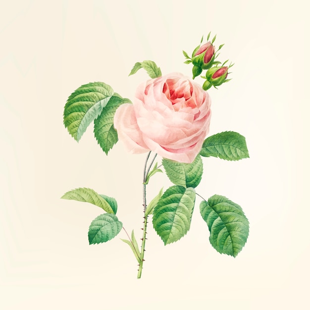 Vetor grátis flor vintage ilustração